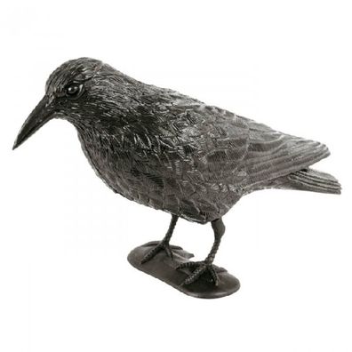 Taubenschreck "Rabe"