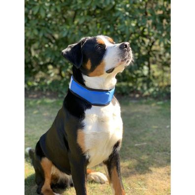 12x Hunde Kühlhalsband 45-65cm Verstellbar Klettverschluss Gelfüllung Haustiere