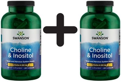 2 x Swanson Choline & Inositol - 250 caps