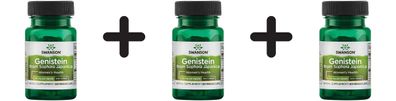 3 x Swanson Genistein from Sophora Japonica, 125mg - 60 vcaps