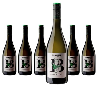 6 x Emil Bauer & Söhne Bundschuh Chardonnay – 2024