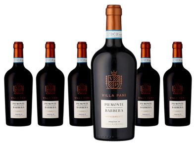 6 x Villa Pani Barbera Appassimento – 2023