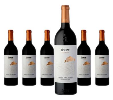 6 x La Rioja Alta Áster Reserva – 2021