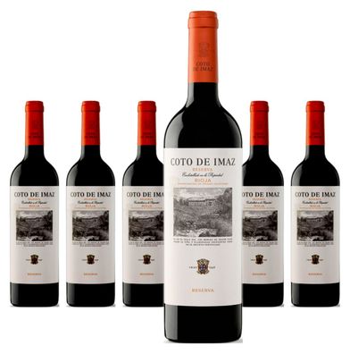 6 x El Coto Coto de Imaz Rioja Reserva – 2021
