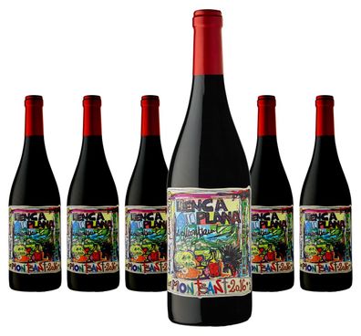 6 x Terra de Falanis Llenca Plana Montsant – 2023