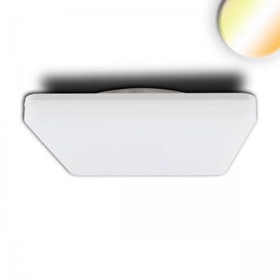 ISOLED 114151 LED Decken- und Wandleuchte mit Sensor weiß 328x328mm 3000K