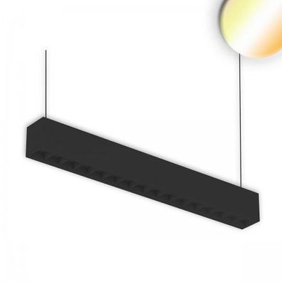 ISOLED 114062 LED Hängeleuchte Linear Raster ColorSwitch anreihbar 604mm schwarz