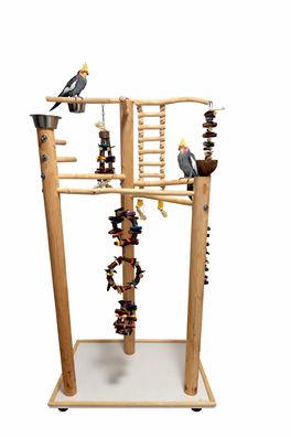 Freisitz aus Rotbuchenholz, Papageienspielzeug Nymphen Sittiche kleine Papageienarten