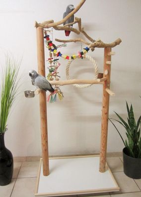 Freisitz HEAVEN Java/Rotbuche, apageienspielzeug, mit Wendeltreppe