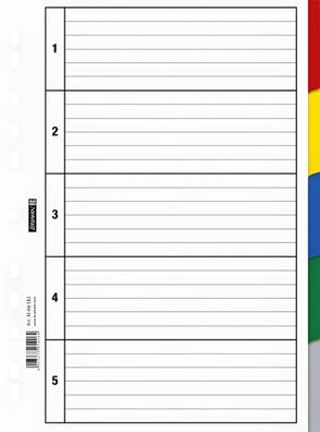 Brunnen Ringbuchregister A4 5teilig Kunststoff 1066582