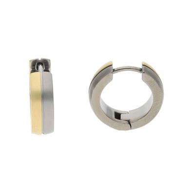 Boccia Damen Creolen 0539-02 Titan vergoldet