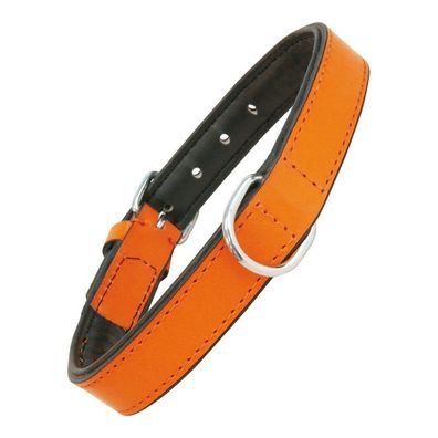 Hundehalsband Gloria Polsterung Orange (40 x 2 cm)