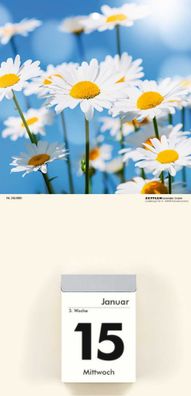 Zettler 609774 Kalenderrückwand Blumen - 14,5 x 29,5 cm, 2-fach sortiert