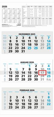 Zettler 660161 3-Monats-Wandkalender 953 - 32 x 70 cm, schwarz/blau