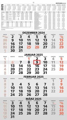 Zettler 602615 4-Monats-Wandkalender 959 - 33 x 59 cm, schwarz/rot