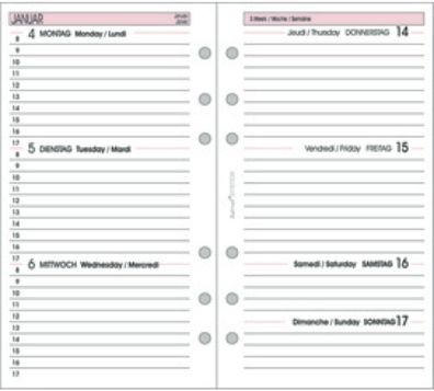 bind® 260226 Ersatzkalendarium Wochenplan - A6, 1 Woche / 2 Seite