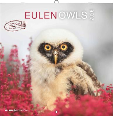 AlphaEdition 160188 Bildkalender Eulen 2026, 30 x 60 cm
