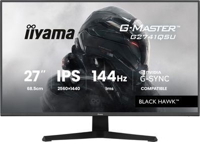 IIYAMA 68.6cm (27") G2741QSU-B1 16:9 HDMI+DP+2xUSB IPS