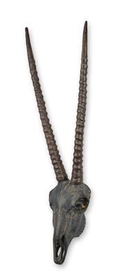 Schädel Chinkara oder Gazelle Kunstharz Fossilien Replikat Retro Design Dekoration