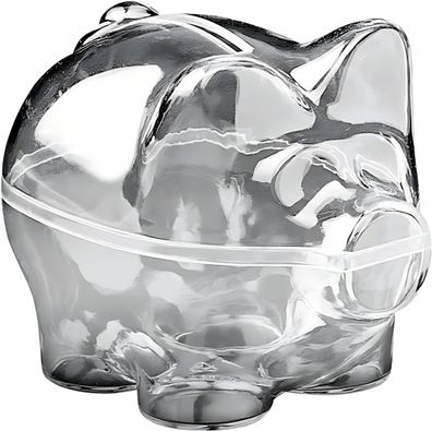 KNORR Prandell 216917895 Acryl-Sparschwein 9 cm Acryl transparent