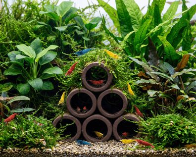 GRNLO - Crayhouse - Krebshöhle für Aquarienkrebse