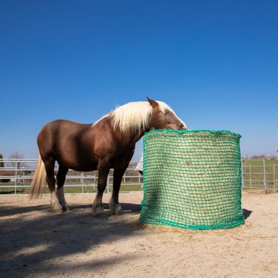 AVERDE Futtersparnetz Heunetz Rund ?1,6 x 1,6 m, 4,5 cm Maschenweite