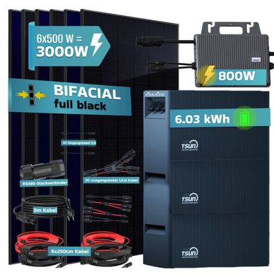 SUNNIVA® 3000W Balkonkraftwerk 6,03 kWh Speicher TSUN TSOL-DCU2000Lite Bifazial