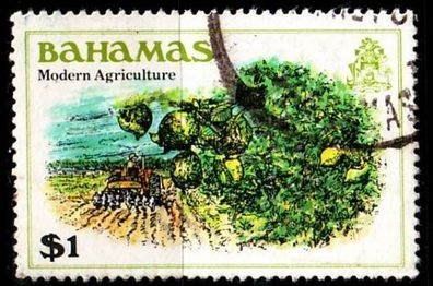 Bahamas [1980] MiNr 0466 ( O/used ) Pflanzen