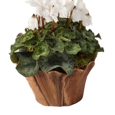 Grabschale aus Bronze Urnengrab Grab-Pflanzschale Blumenschale 28 cm