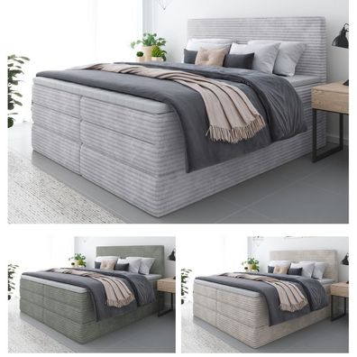 Doppelbett Boxspringbett SENO PLUS mit Matratze Topper + 2 Bettkästen / Highlight