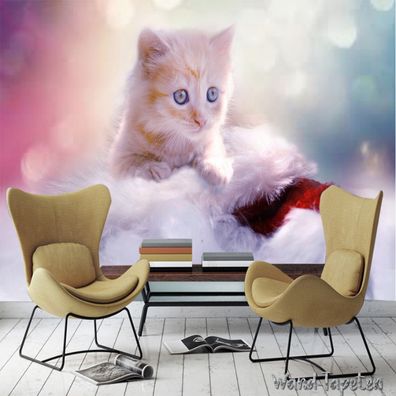 Vlies Fototapete Wandtapete Wandbilder Traumtapete Süsse Katze 2251
