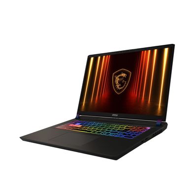 Vector 17 HX AI A2XWHG-041, Gaming-Notebook