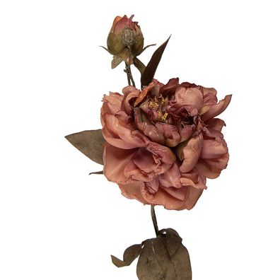 Clayre & Eef Kunstblume 73 cm Rosa Kunststoff (Gr. 14x17x73 cm)