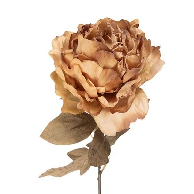 Clayre & Eef Kunstblume 70 cm Beige Kunststoff (Gr. 14x14x70 cm)