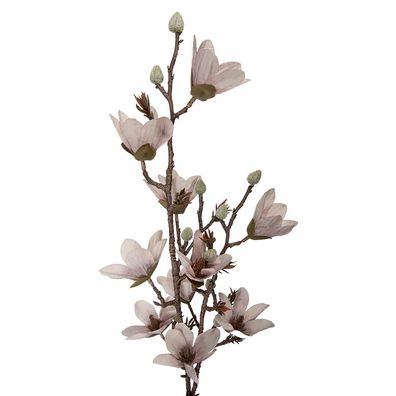 Clayre & Eef Kunstblume 92 cm Beige Kunststoff (Gr. 12x15x92 cm)