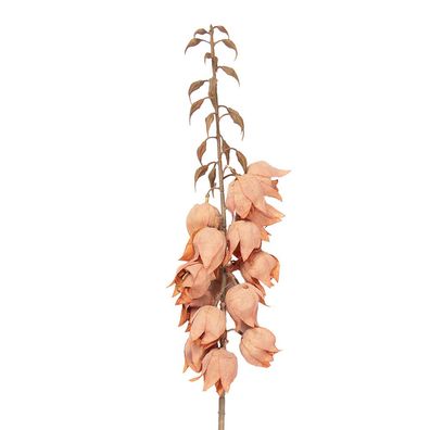 Clayre & Eef Kunstblume 100 cm Orange Kunststoff (Gr. 12x12x100 cm)