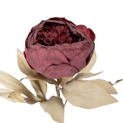 Clayre & Eef Kunstblume 62 cm Rot Kunststoff (Gr. 11x11x62 cm)