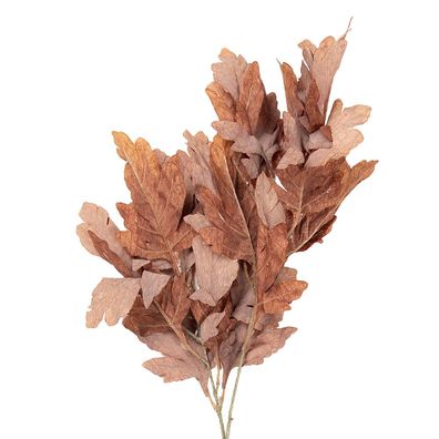 Clayre & Eef Kunstblume 104 cm Braun Kunststoff (Gr. 15x22x104 cm)