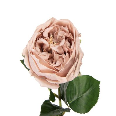 Clayre & Eef Kunstblume Rose 43 cm Beige Kunststoff (Gr. 9x9x43 cm)