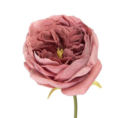 Clayre & Eef Kunstblume Rose 43 cm Rosa Kunststoff (Gr. 9x9x35 cm)