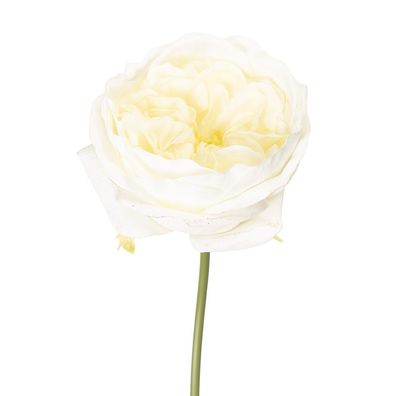 Clayre & Eef Kunstblume Rose 35 cm Weiß Kunststoff (Gr. 9x9x35 cm)