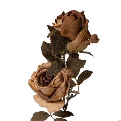 Clayre & Eef Kunstblume Rose 70 cm Beige Kunststoff (Gr. 12x12x70 cm)