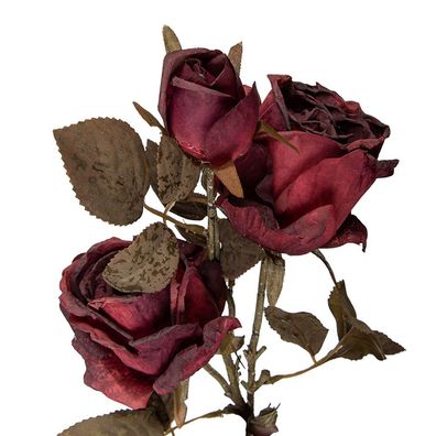 Clayre & Eef Kunstblume Rose 70 cm Rot Kunststoff (Gr. 12x12x70 cm)