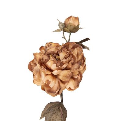 Clayre & Eef Kunstblume 73 cm Braun Kunststoff (Gr. 14x17x73 cm)