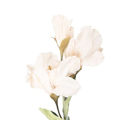 Clayre & Eef Kunstblume 85 cm Beige Kunststoff (Gr. 10x18x85 cm)