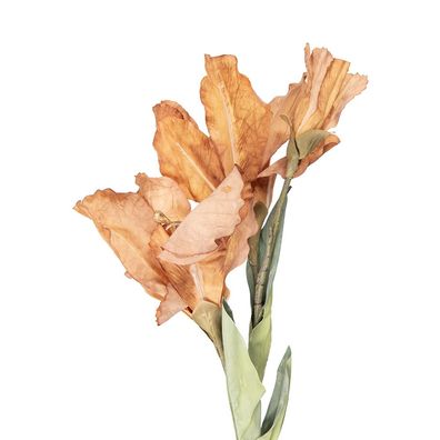 Clayre & Eef Kunstblume 85 cm Braun Kunststoff (Gr. 10x18x85 cm)