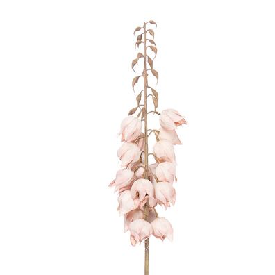 Clayre & Eef Kunstblume 100 cm Rosa Kunststoff (Gr. 12x12x100 cm)