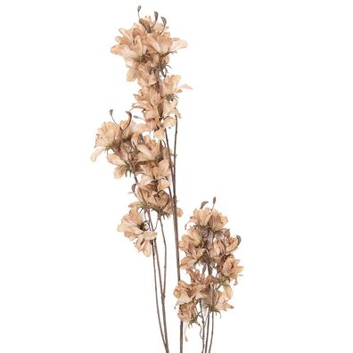 Clayre & Eef Kunstblume 120 cm Beige Kunststoff (Gr. 14x16x120 cm)