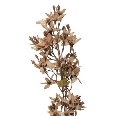 Clayre & Eef Kunstblume 95 cm Weiß Kunststoff (Gr. 10x10x95 cm)