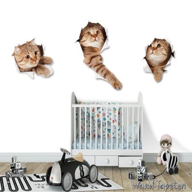 Vlies Fototapete Wandtapete Wandbilder Moderne Süße Katze Kinderzimmer 2257